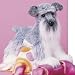 Plush Fritz Schnauzer 16