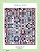 Nickel Quilts & Borders: 7 Quilts & 260 Borders from 5-Inch Squares