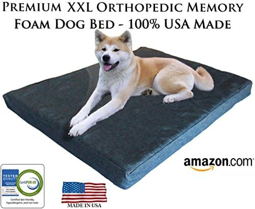 Dog Bed, Lucky Dog, Gel Memory Foam, Large, Blue