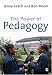 Pedagogy: A Critical Guide