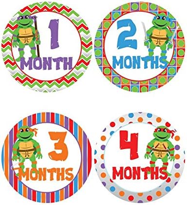 Teenage Ninja Turtle Themed Baby Month Stickers - Monthly Onesie Stickers