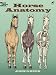 Horse Anatomy (Dover Nature Coloring Book) by John Green, Coloring Books, Horses
