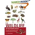 The Wildlife of Southern Africa: Larger Illustrated Guide to the Animals and Plants of the Region by Vincent Carruthers