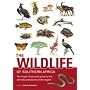 The Wildlife of Southern Africa: The Larger Illustrated Guide to the Animals and Plants of the Region