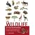 The Wildlife of Southern Africa: The Larger Illustrated Guide to the Animals and Plants of the Region