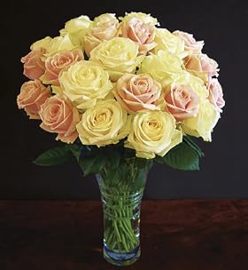 Autograph Mixed Sweet Avalanche Roses - Two Dozen