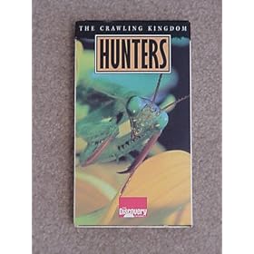 Cazadores El Reino De Los Insectos (Hunters: The Crawling Kingdom)