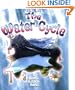 The Water Cycle (Nature's Changes)