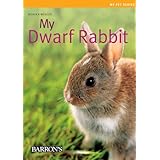 My Dwarf Rabbit (My Pet Series)