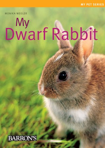 Rabbits