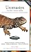 Uromastyx: Plus Other Common Agamids (Advanced Vivarium Systems)