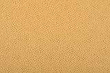 Courteney Sunshine Gold, Fabric by Niche