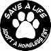 Imagine This 4-3/4-Inch by 4-3/4-Inch Car Magnet Social Issues Circle, Adopt a Homeless Pet, Black