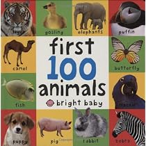 Big Board First 100 Animals (First Words)