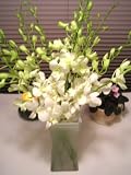 51bMgeWkzeL. SL160  Fresh Flowers   White Dendrobium Orchids Bouquet with Vase