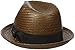 Brixton Men's Castor Straw Fedora Hat