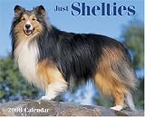 Just Shelties 2008 Calendar (Just)