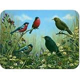 McGowan's TufTop Blackbird and Bullfinch Tempered Glass Cutting Board. 12 by 9 inches.