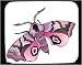 Decorated Mouse Pad with insect, butterfly, hawk, eyed, moth