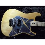 FRANKEN GUITARS Custom w/Vivian Campbell