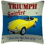 We Love Cushions Triumph Spitfire Martin Wiscombe Cushion