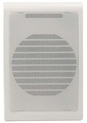 DIESEL AUDIO Indoor / Outdoor 2-Way 6.25 Inch 100 Watts Wall Mount Speaker