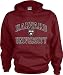 Harvard Crimson Kids/Youth Perennial Hooded Sweatshirt