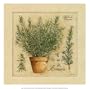 Herbes de Provence, Romarin Art Poster Print by Pascal Cessou, 13x13