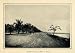 1905 Duotone Print Malecon Road Manila Philippines Palms Horse-Drawn Carriage - Original Duotone Print