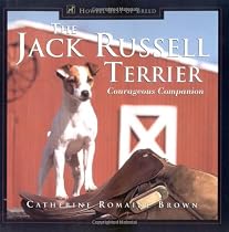 The Jack Russell Terrier: Courageous Companion