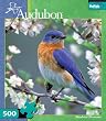 Audubon: Bluebird Blossoms 500pc Jigsaw Puzzle