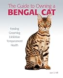 Guide to Owning a Bengal Cat Guide to Owning a Bengal Cat