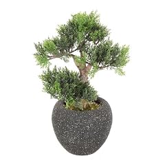 Kunstpflanze Bonsai Zeder, H�he 40 cm