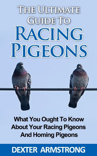 The Ultimate Guide To Racing Pigeon: What Everybody Ought To Know About Racing Pigeons