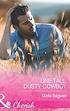 One tall, dusty cowboy