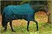 TuffRider 600D MW Turnout Blanket