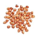 Kasha - 12 Oz Bag Each