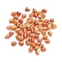 Kasha - 12 Oz Bag Each