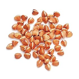 Kasha - 12 Oz Bag Each