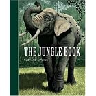 The Jungle Book (Unabridged Classics) by Rudyard Kipling, Scott McKowen, and Arthur Pober Ed.D