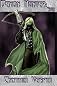 Demon Hunter: Saga