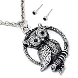 Antique Silver Sitting on Branch Owl Necklace and Earrings Set