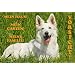 Metall - Warnschild Wei�er Schweizer Sch�ferhund, Amerikanisch-Kanadischer