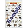 Mac's Field Guide to Yellowstone & Grand Teton National Parks: Birds &  Mammals