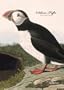 Atlantic Puffin Garden Flag