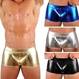 Mens Liquid Metallic Hot Body Boxer Swimsuit Gary Majdell Sport