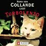 Turbolenzo