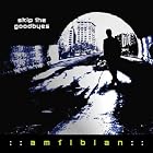 Skip the Goodbyes by Amfibian