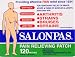 Personal Health Care : SALONPAS PAIN RELIEVING PATCH 120 PATCHES