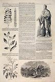Lough Statue Prince Albert Blight Wheat Bean Potato Oak